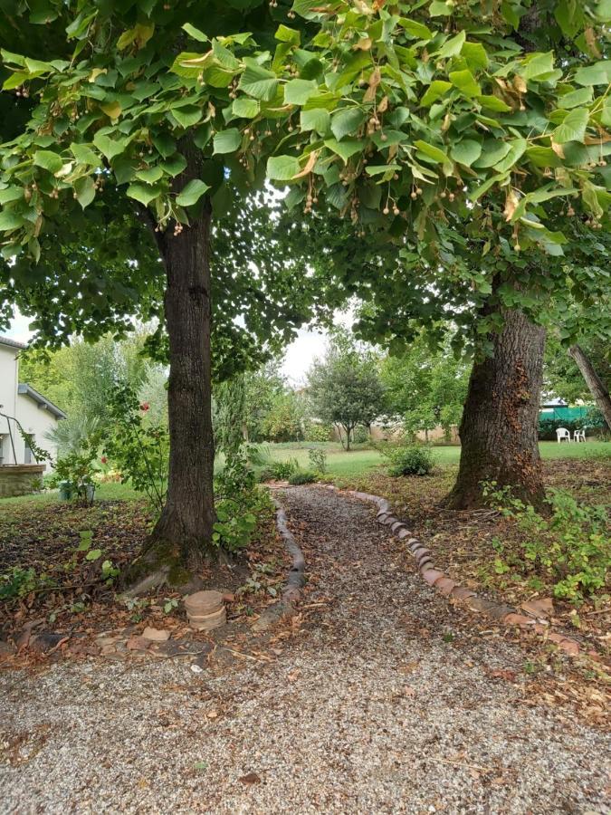 O Nature Cheris Mes Voeux Avant Qu'ils S'enfuient Homestay Francescas