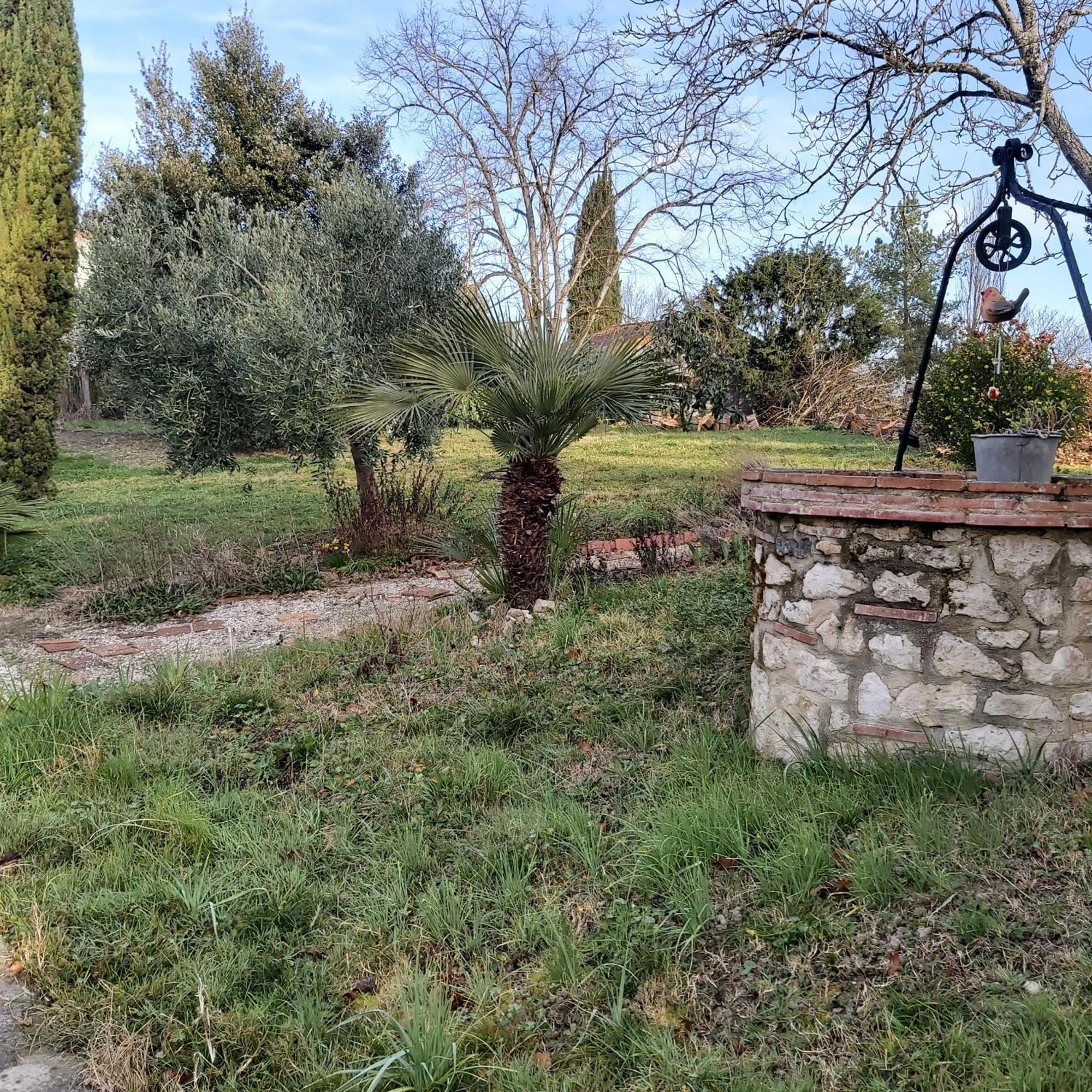 Homestay O Nature Cheris Mes Voeux Avant Qu'ils S'enfuient Francescas